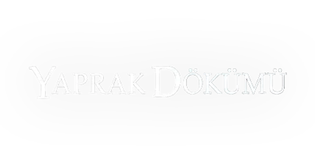 YAPRAK DÖKÜMÜ DİZİ TV